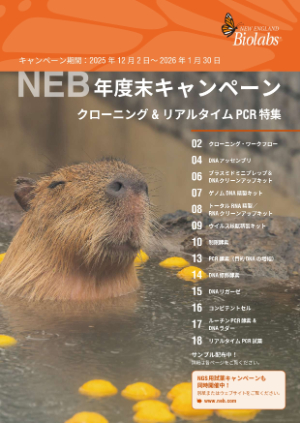 【ニュー・イングランド・バイオラボ・ジャパン】2025年 NEB年度末キャンペーン：クローニング＆リアルタイム特集